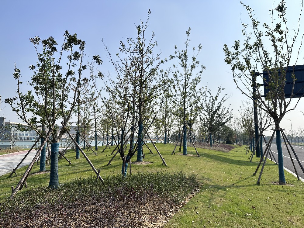 經(jīng)開區(qū)城市客廳